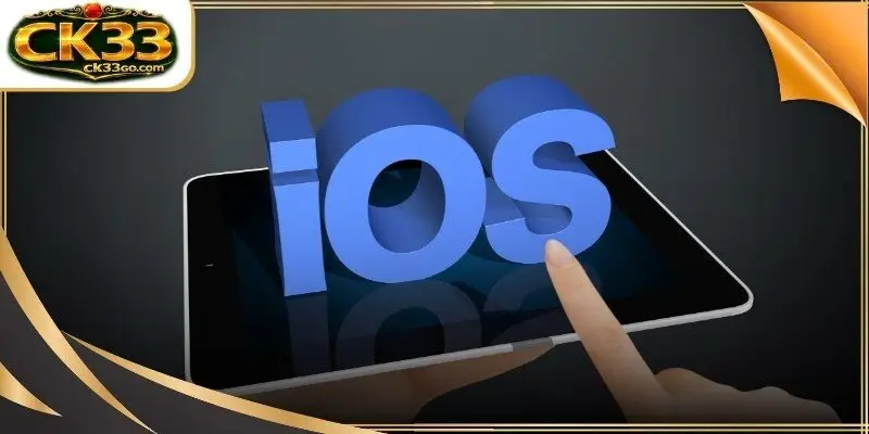 An iPhone screen showing the enterprise management trust settings for iOS
