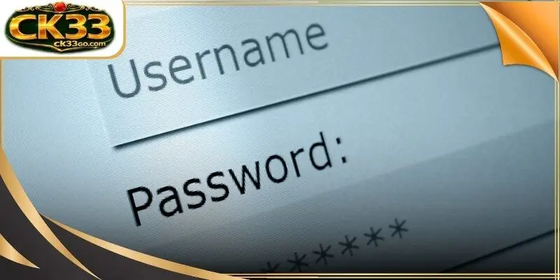 A professional user interface showing the primary secure entry fields