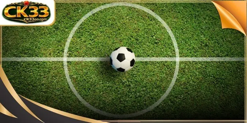 Digital interface displaying binary numerical selection patterns for players.
