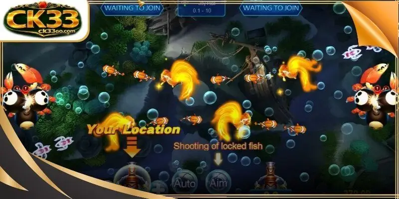 Beginning your journey in Royal Fishing is remarkably simple