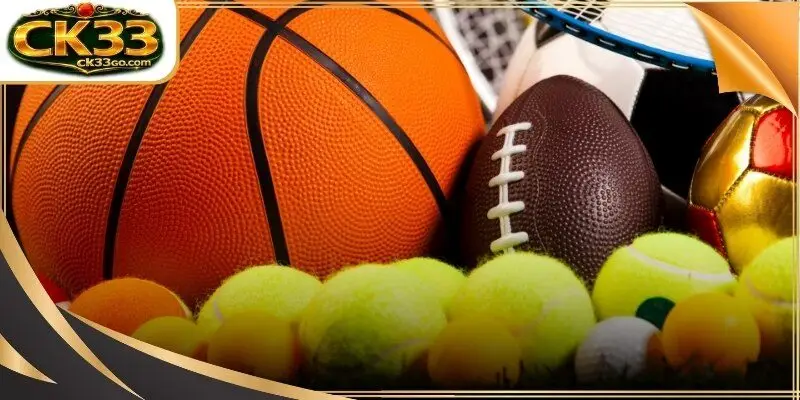 Digital interface showcasing a wide variety of global sportbooks